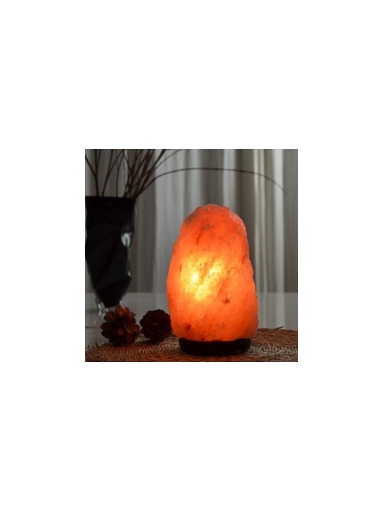 Lampe en Cristal de Sel d'Himalaya de 2 à 3 kg Zen Arome