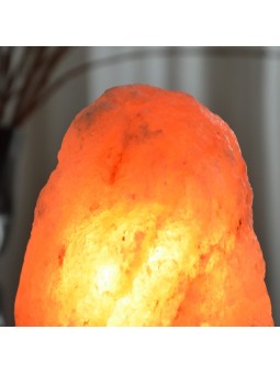 Lampe en Cristal de Sel d'Himalaya de 2 à 3 kg Zen Arome