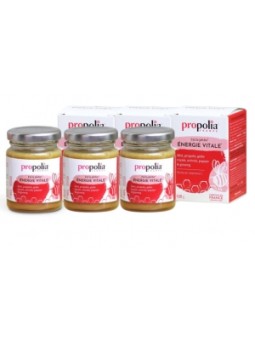 Energie Vitale Lot de 3 pots 120g Propolia Herboristerie de Paris