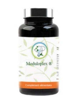 Moduloplex Gastro resistant 90 gélules Planticinal Herboristerie de Paris