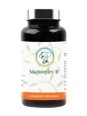 Moduloplex Gastro resistant 90 gélules Planticinal Herboristerie de Paris