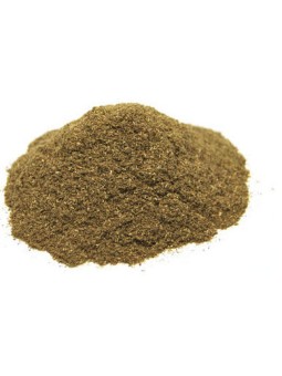 Euphraise partie aérienne 100 gr Herboristerie de Paris vision santé occulaire