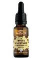 Elixir Marronnnier Blanc, White Chestnut n°35 20 ml Biofloral