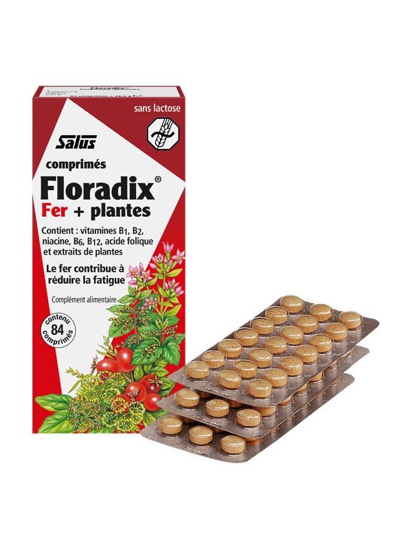 Floradix Fer et Plantes 84 comprims carence en fer fatigue Herboristerie  de paris