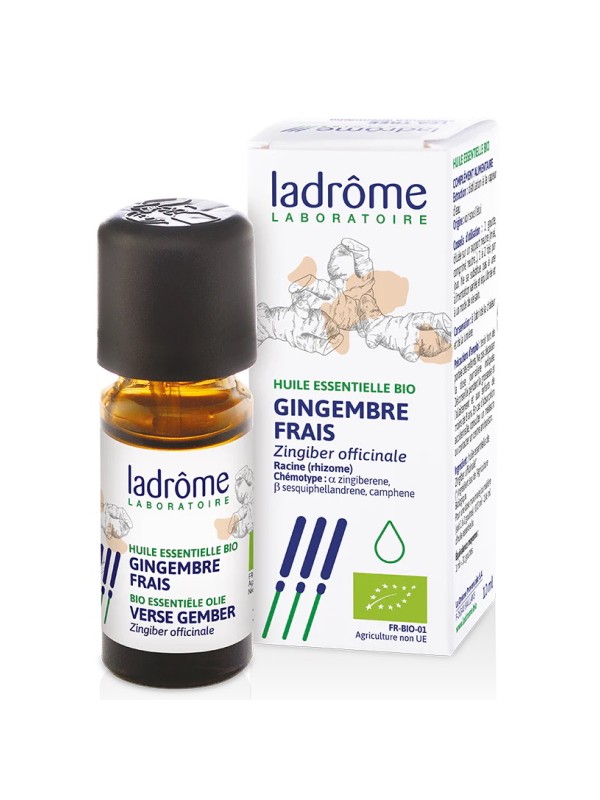 huile essentielle de Gingembre 10ml Ladrome Herboristerie de Paris tonus énergie