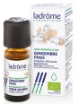 huile essentielle de Gingembre 10ml Ladrome Herboristerie de Paris tonus énergie