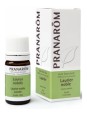 Laurier noble Flacon compte gouttes 5ml PranarÃ´m Herboristerie de Paris
