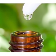 Phyto-concentres de l'Herboristerie de Paris : du concentré d'extraits de plantes en solution liquide