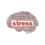Stress Surmenage