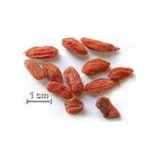 Goji et autres baies