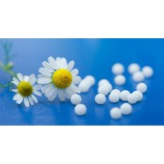 Fleurs de Bach sans alcool