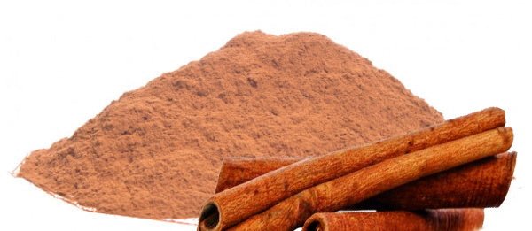 Cannelle Poudre BIO 100g Herboristerie de Paris - Herboristerie de Paris