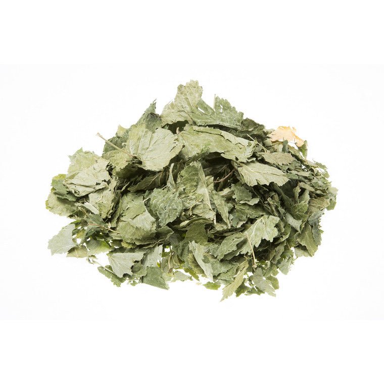 Cassis feuille coupée BIO 100g Herboristerie de Paris - Herboristerie de Paris