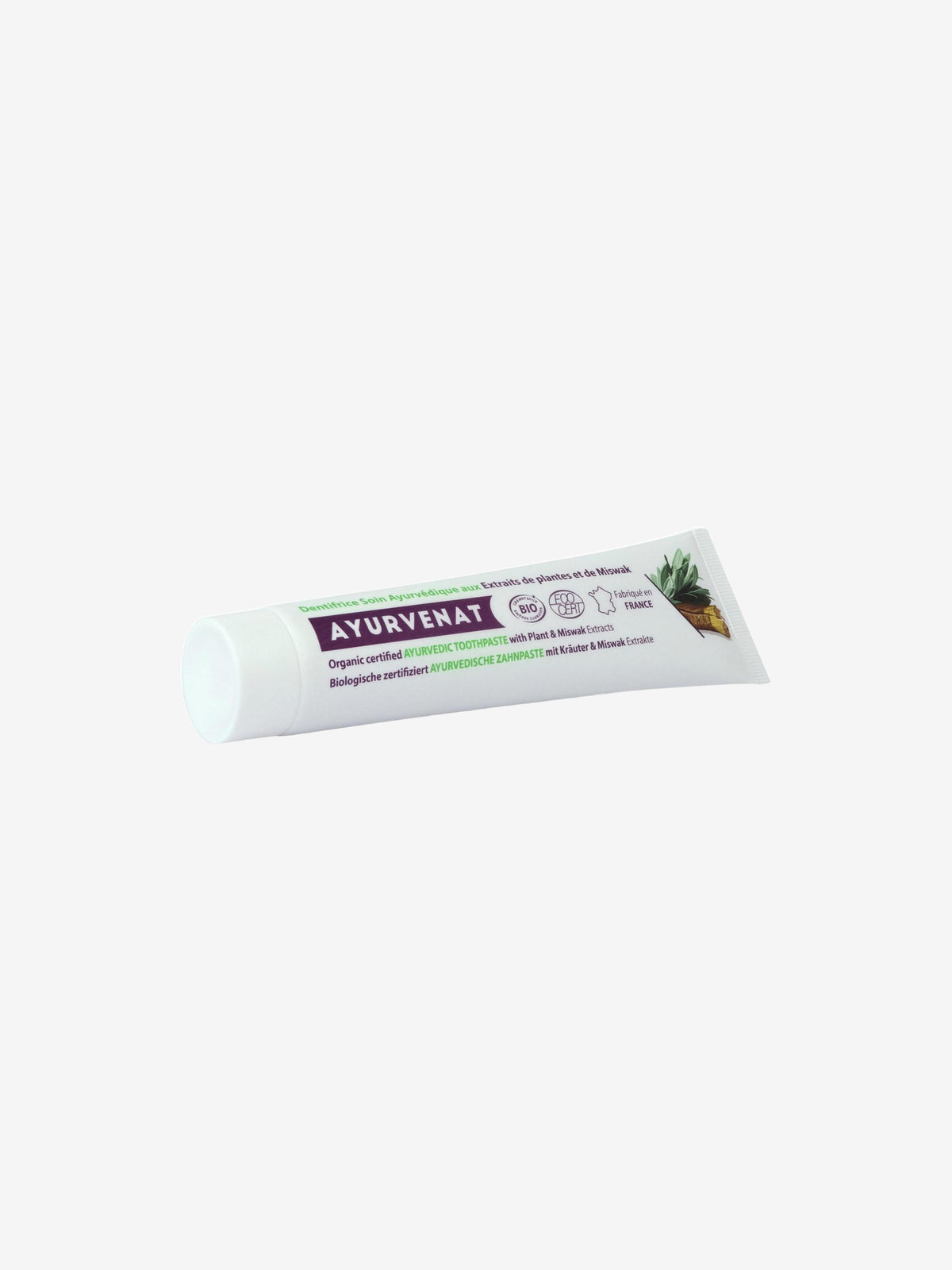 Dentifrice à l'extrait de plante de Miswak Meswak 75ml Oleanat - Herboristerie de Paris