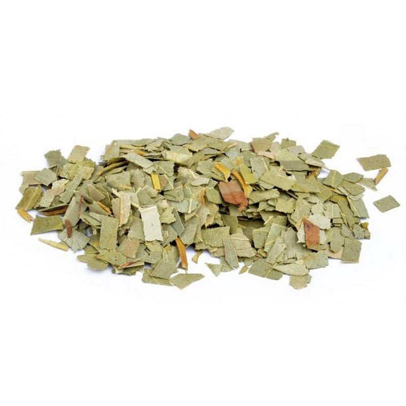 Eucalyptus feuilles coupées BIO 100 gr Herboristerie de Paris - Herboristerie de Paris