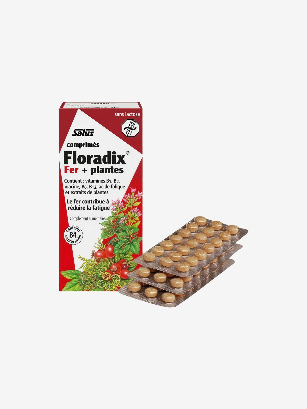 Floradix Fer Plantes 84 comprimés Salus - Herboristerie de Paris