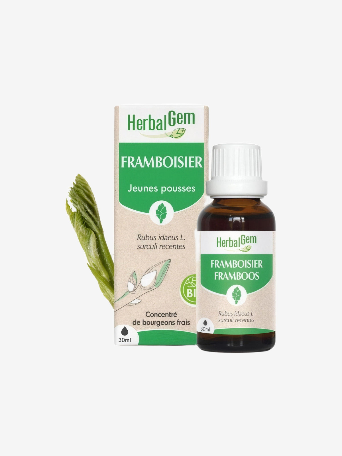 Framboisier bio Flacon compte gouttes 30ml Herbalgem - Herboristerie de Paris