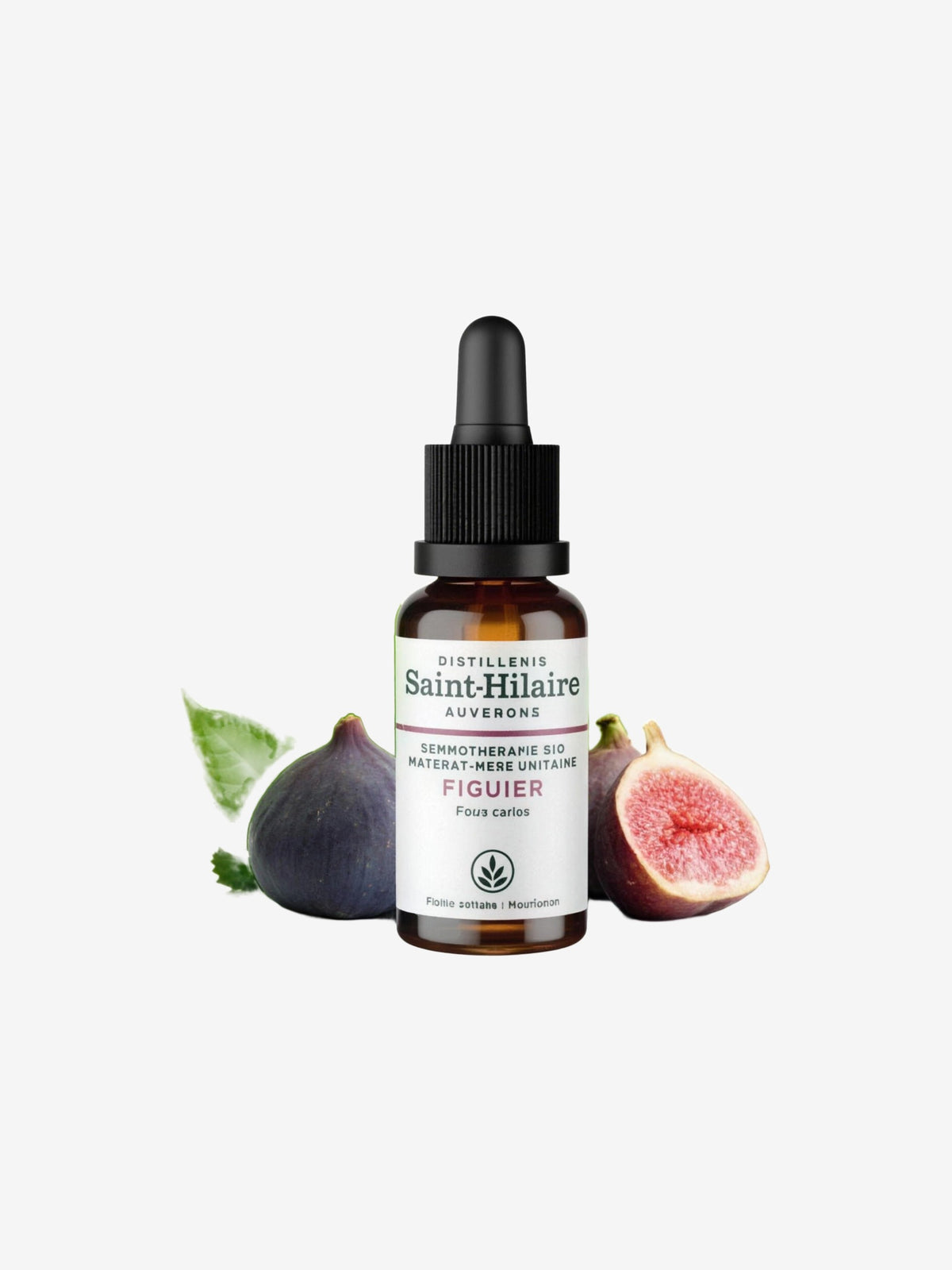Macérat de Bourgeons de Figuier bio 30ml Distillerie Saint Hilaire - Herboristerie de Paris
