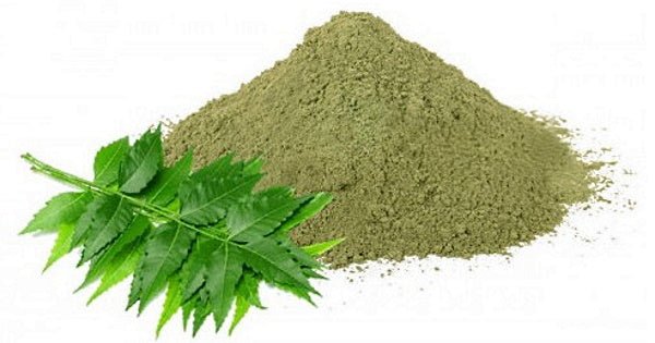 Neem poudre 100g Herboristerie de Paris - Herboristerie de Paris
