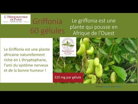 Griffonia Fruit 320mg 60 gélules Herboristerie de Paris