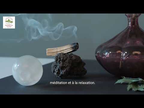 Palo Santo 25g Herboristerie de Paris