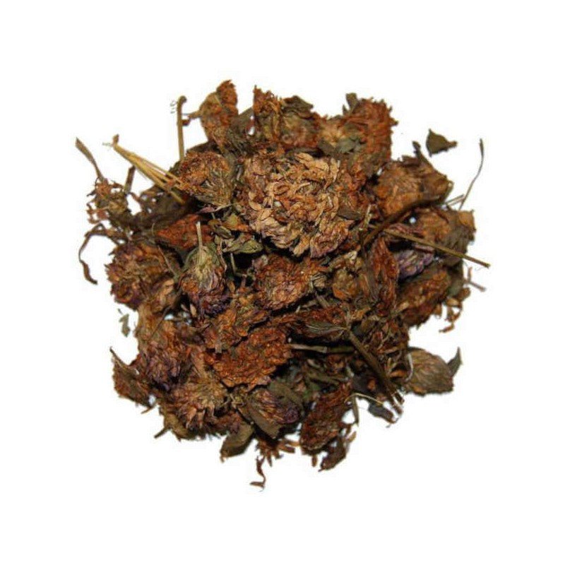 Trèfle rouge fleur 100g Herboristerie de Paris - Herboristerie de Paris