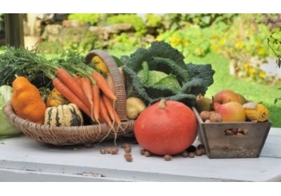 La cure dépurative d’automne en pratique