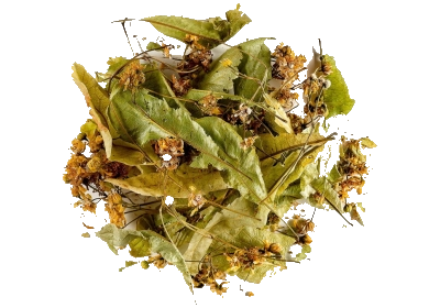Découvrez les bienfaits apaisants et revigorants de la tisane au tilleul : une infusion naturelle