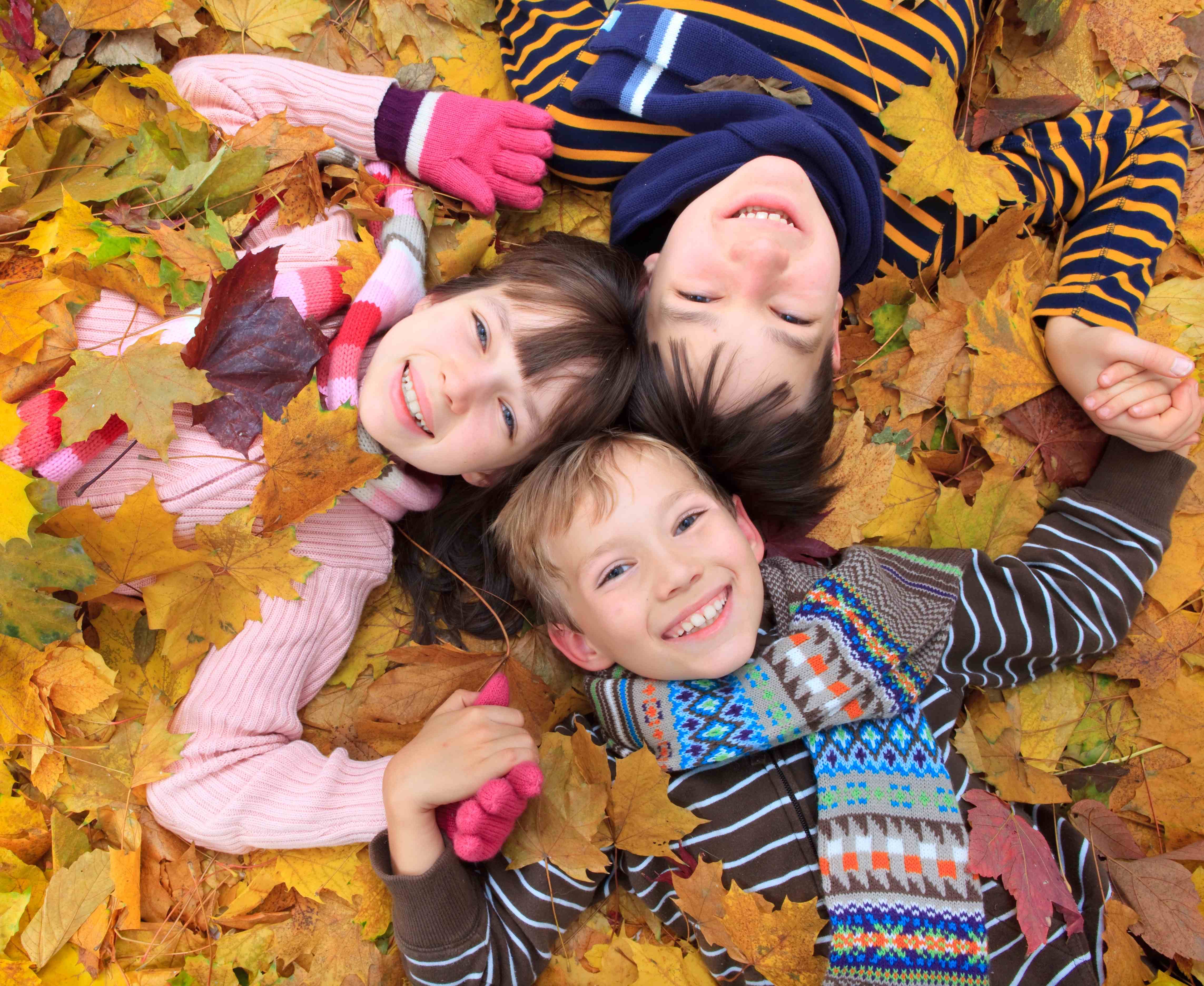 Il est temps de faire sa cure d'automne pour retrouver son dynamisme et sa jeunesse ...