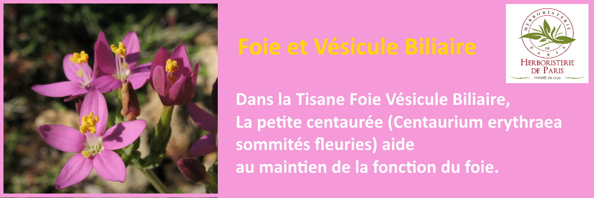 la petite centaurée de la tisane foie vésicule biliaire aide au maintien de la santé du foie