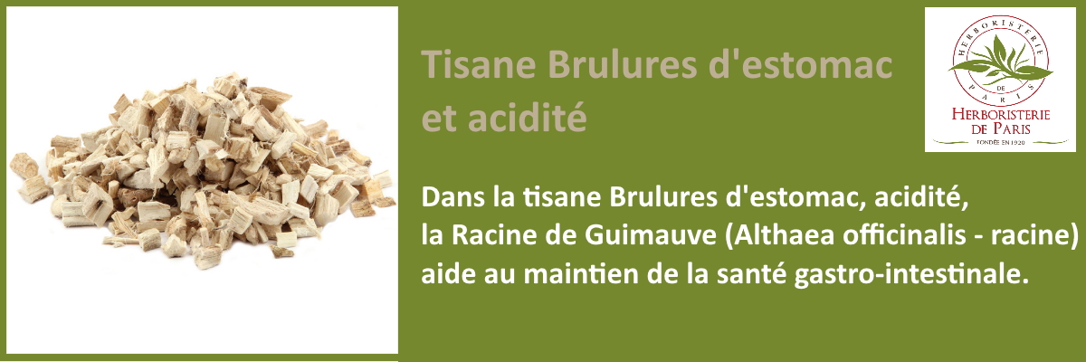 La racine de Guimauve de la tisane Brulures d'estomac acidité Herboristerie de Paris contribue au maintien de la santé gastro-intestinale.