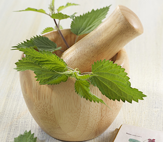 L'herboristerie s'appuie sur les connaissances traditionnelles de nos ancêtres avec les nouvelles études menées sur le siècle dernier pour parfaire les connaissances des plantes