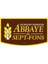 Abbaye de Sept fons