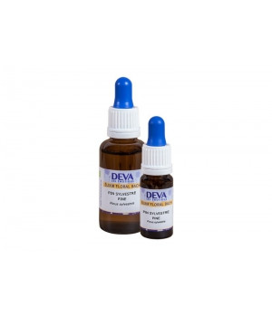 Laboratoire Deva