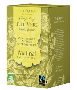 Plant Asia
